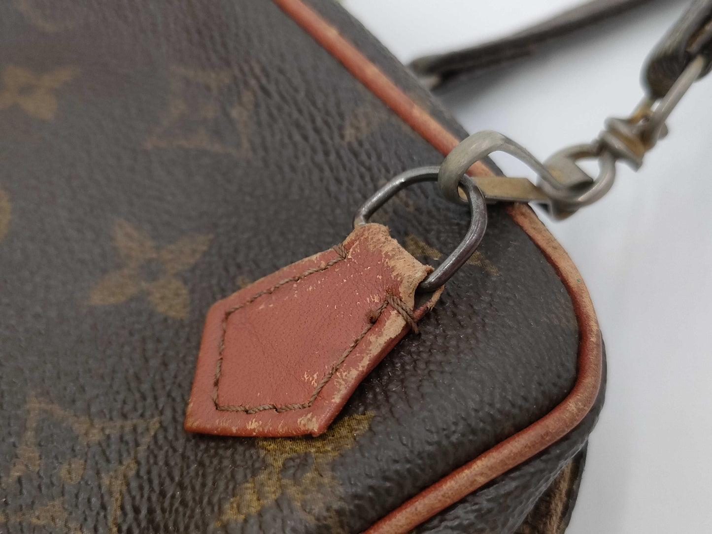 LOUIS VUITTON Monogram Mini Amazon Shoulder Bag