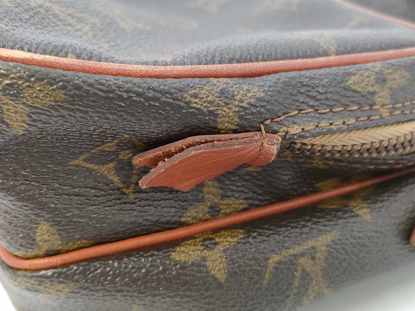 LOUIS VUITTON Monogram Mini Amazon Shoulder Bag
