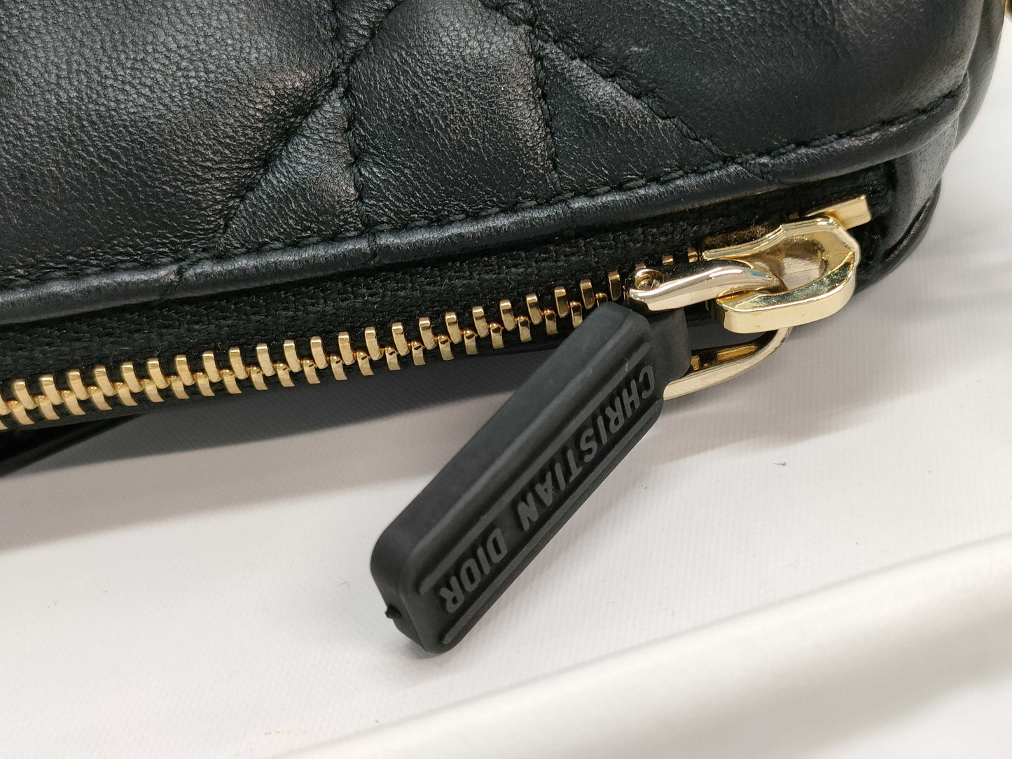 Dior Vibe Hobo Mini Shoulder Bag