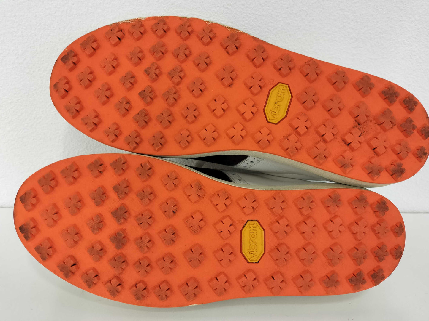 Royal Albatross Shoes Sneakers