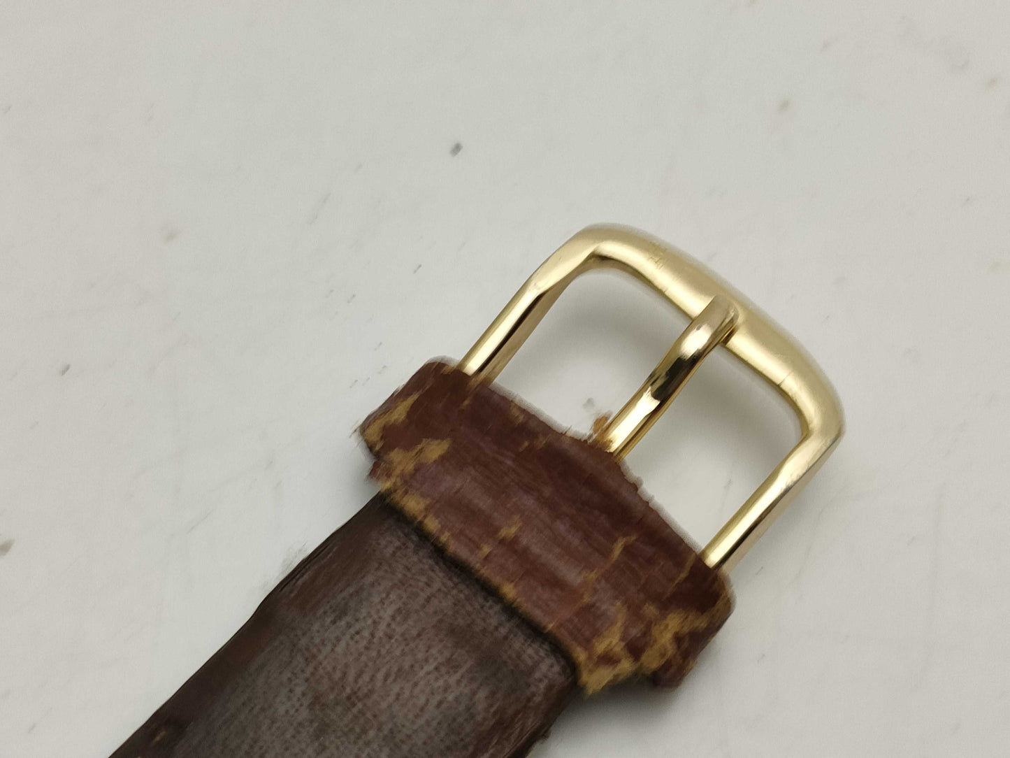 SEIKO Champion Men's Watch