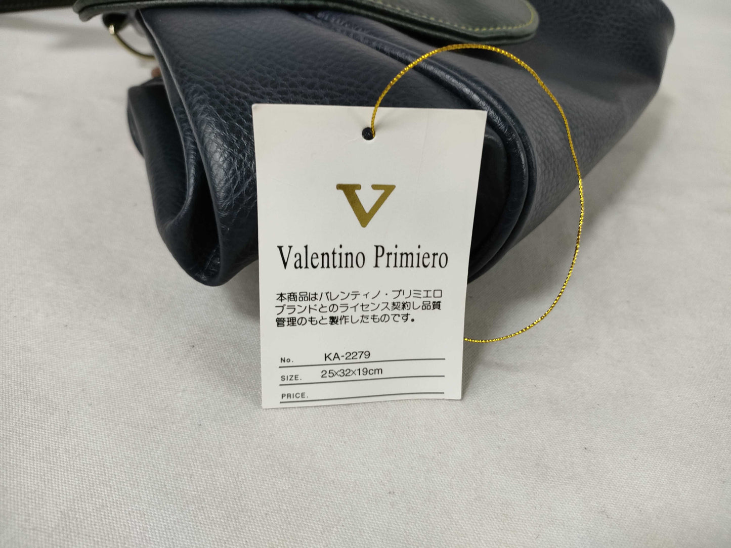 Valentino Garavani Valentino/Bicolor/Backpack Backpack
