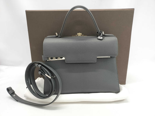 Delvaux MM/Gray Handbag