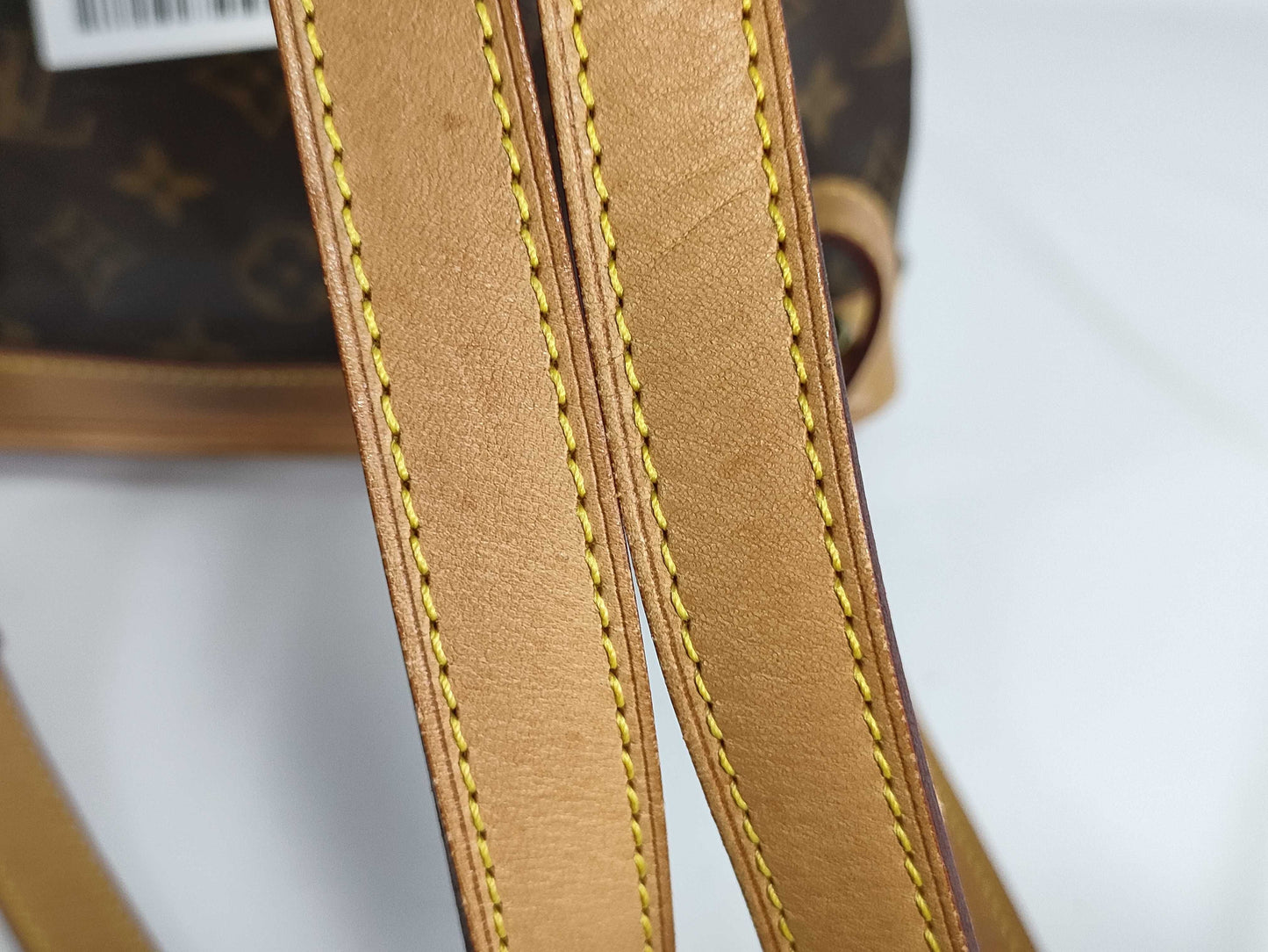 LOUIS VUITTON Monogram Montsouris PM Backpack