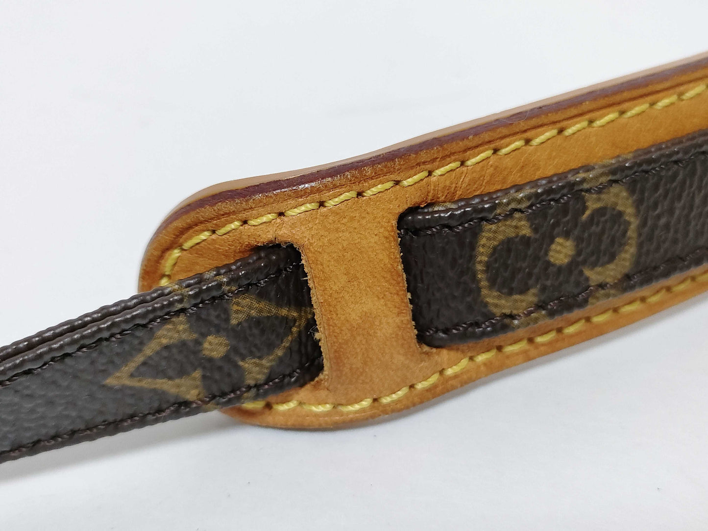 LOUIS VUITTON Monogram M45266 Danube Shoulder Bag
