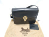 CELINE Triomphe Gold Hardware Shoulder Bag