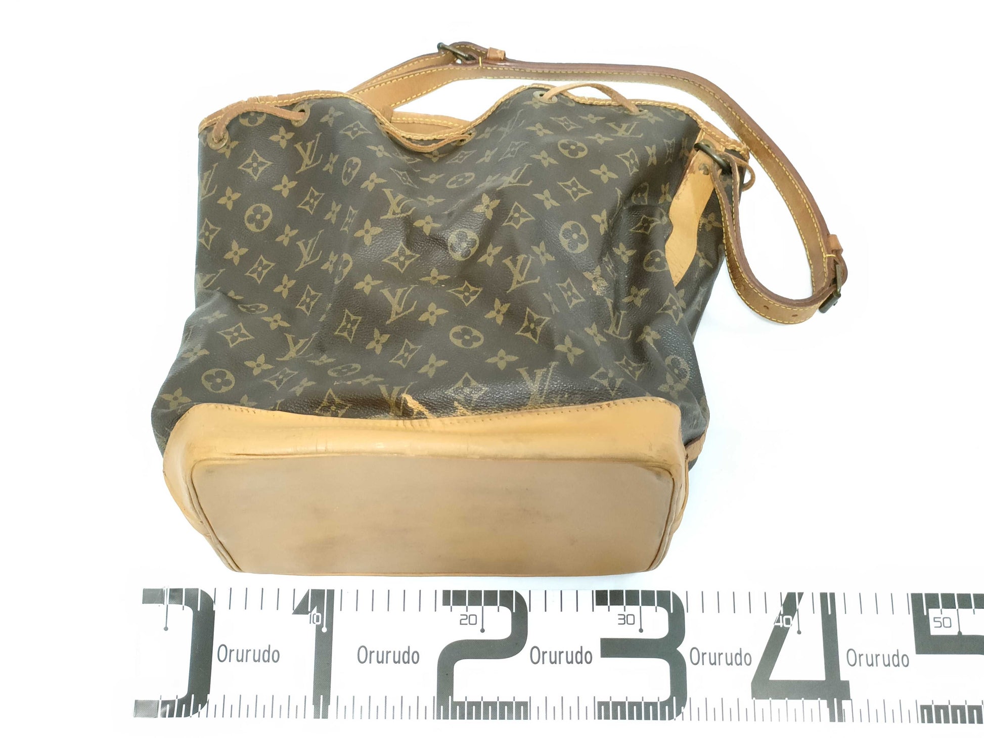 LOUIS VUITTON Monogram Noe Painted Shoulder Bag