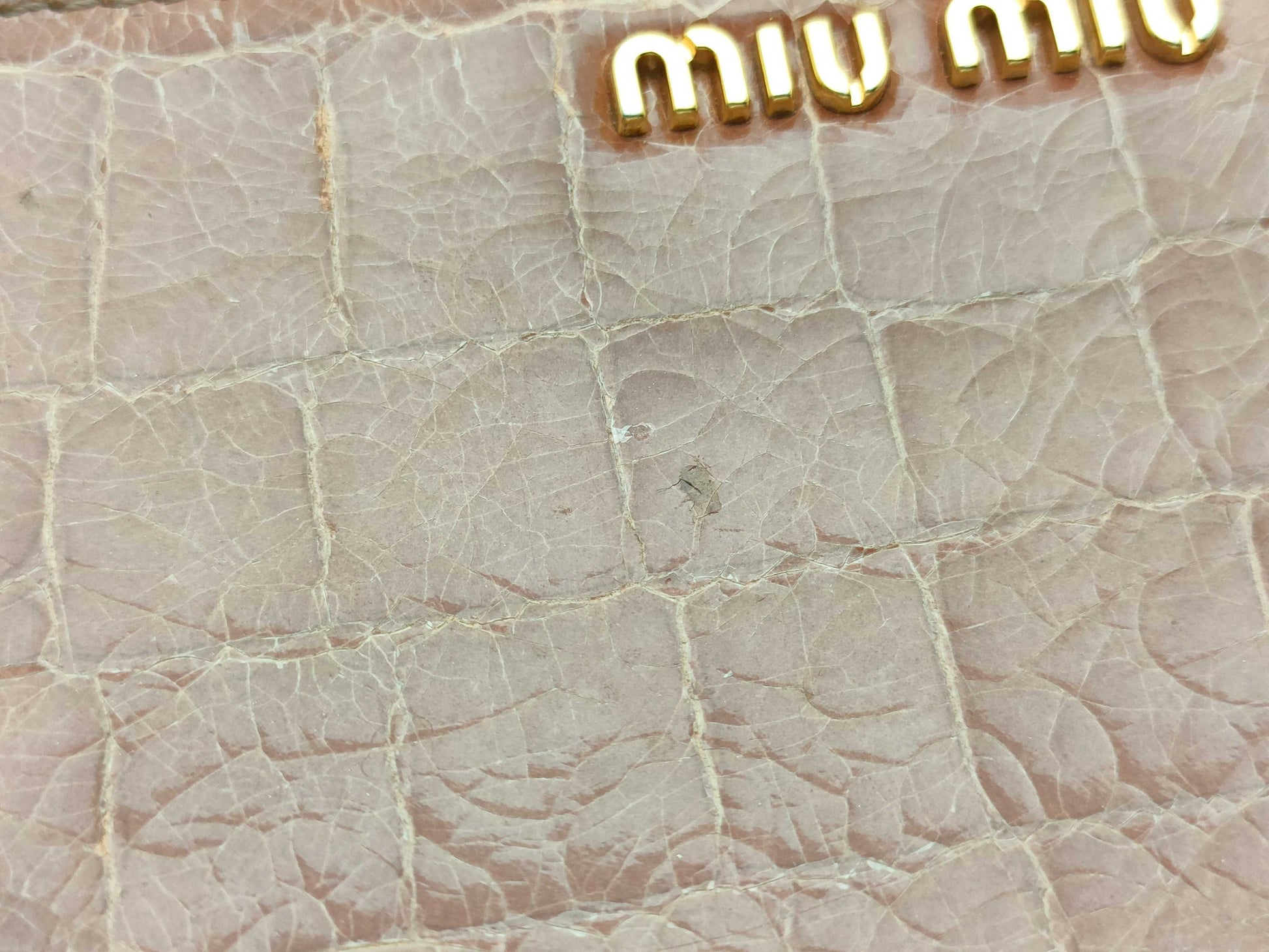 miu miu coin case/embossed coin case
