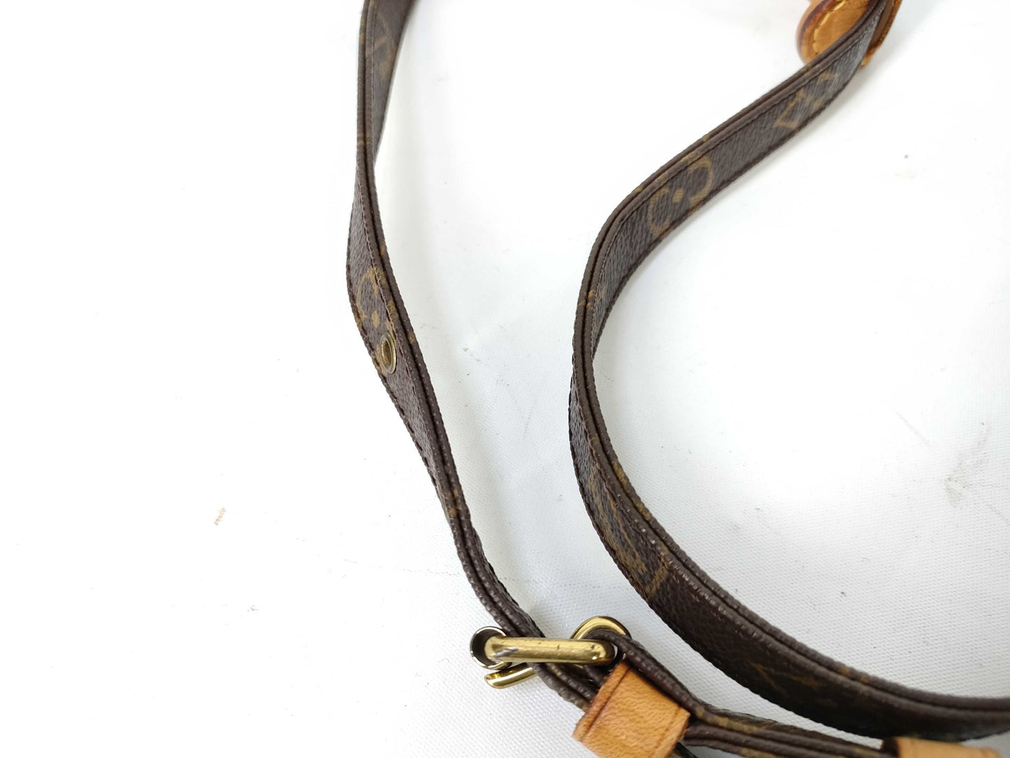 LOUIS VUITTON Monogram M45236 Amazon Shoulder Bag