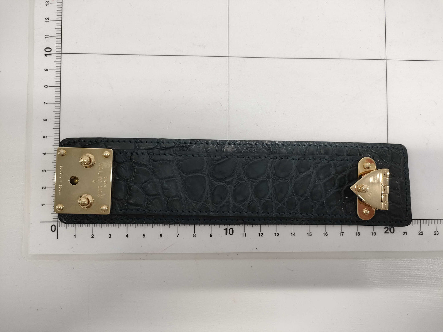 LOUIS VUITTON Cellule Crocodile Other Accessories