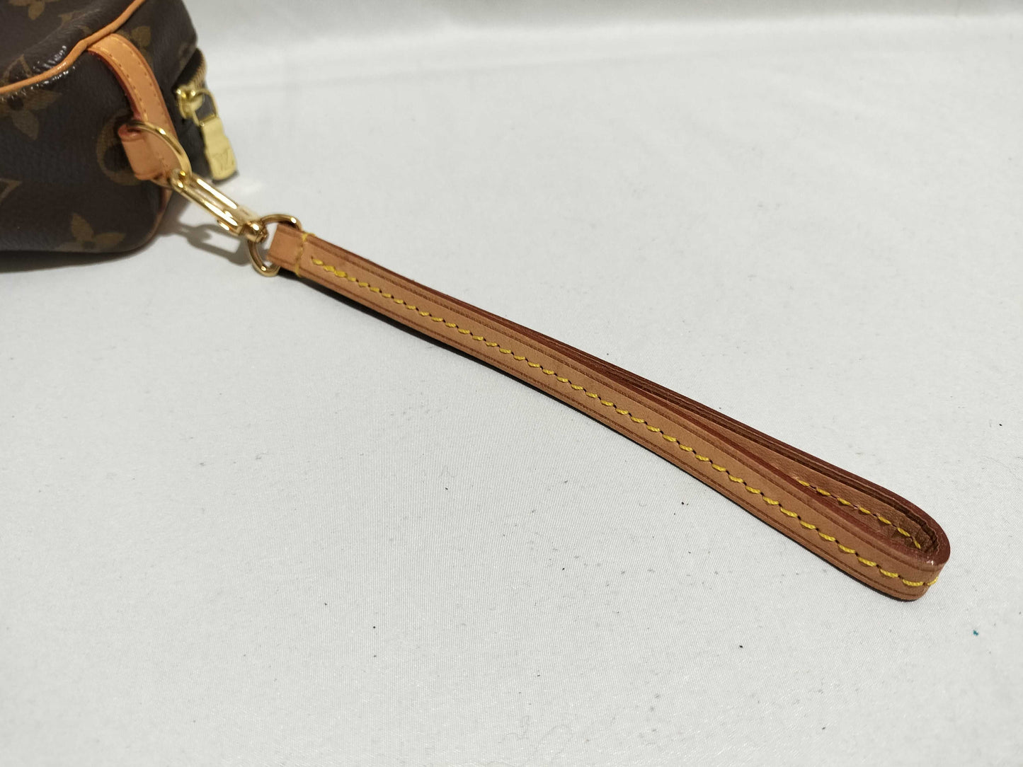 LOUIS VUITTON Monogram M58030 Truth Wapiti Other Accessories