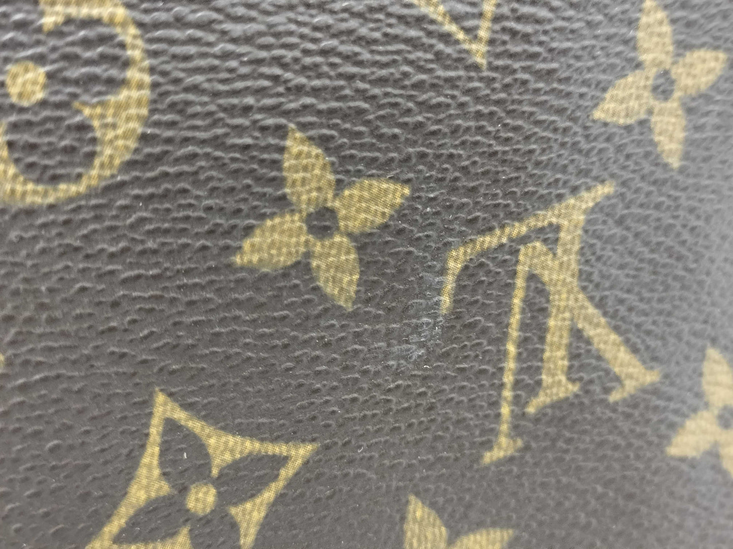 LOUIS VUITTON Monogram Mini Looping Handbag with Mildew