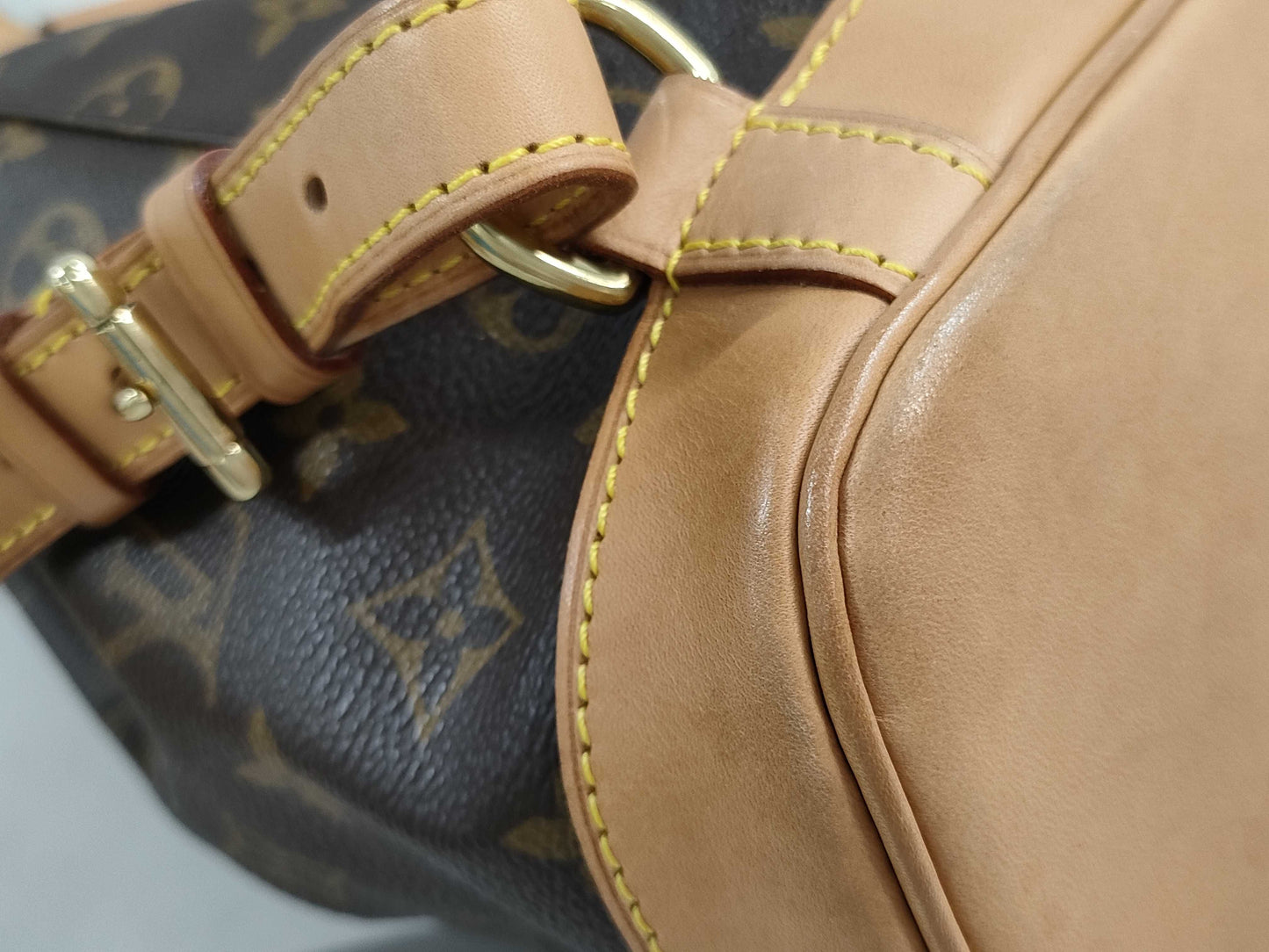 LOUIS VUITTON Monogram Mini Montsouris Backpack