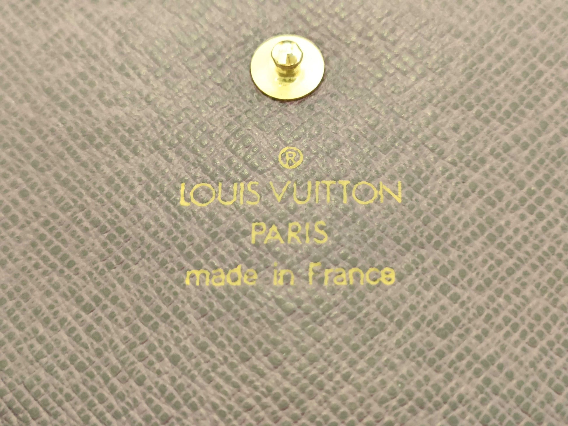 LOUIS VUITTON Epi Wallet * Pass Case Wallet