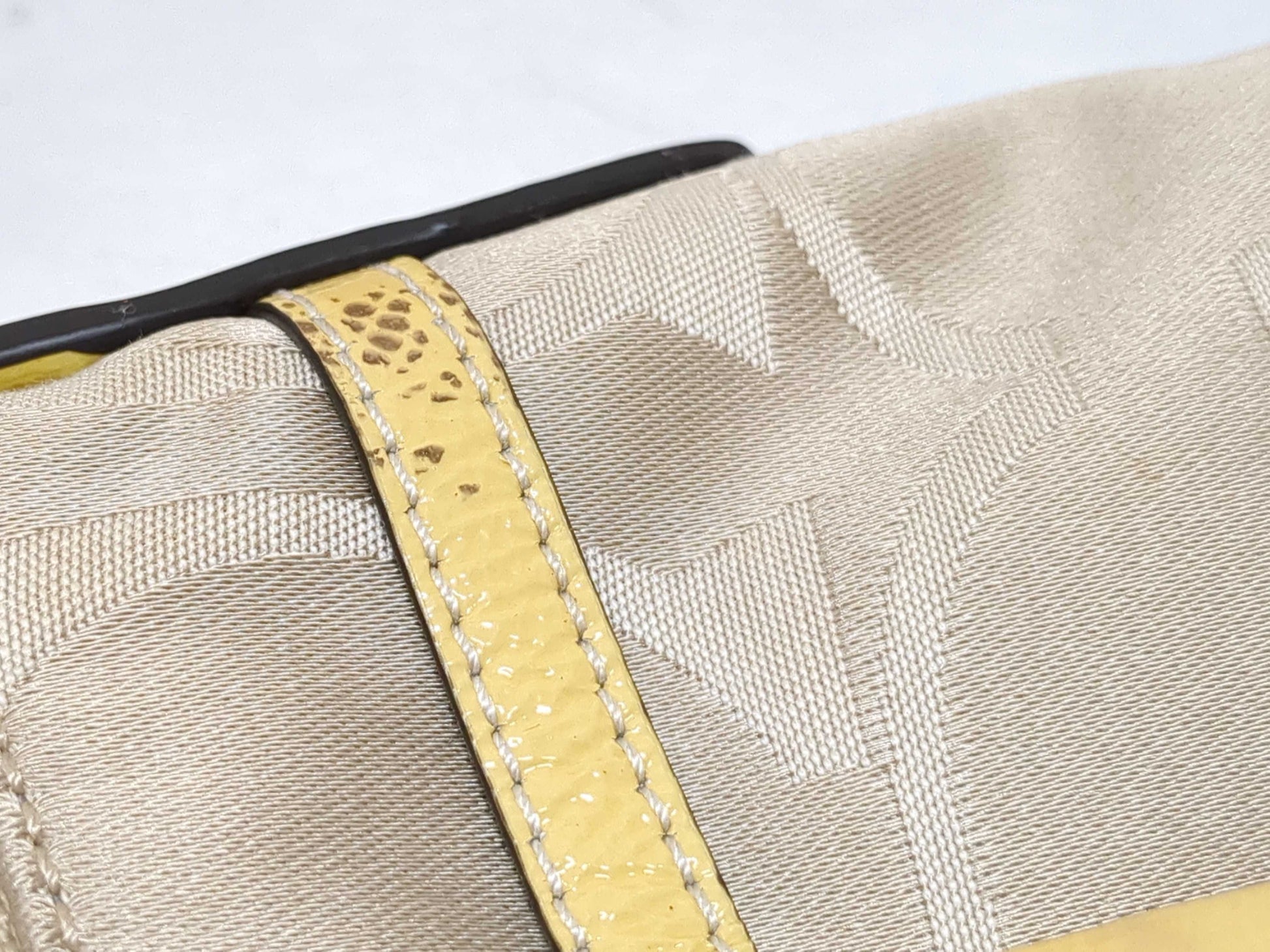 COACH etc. shoulder bag set