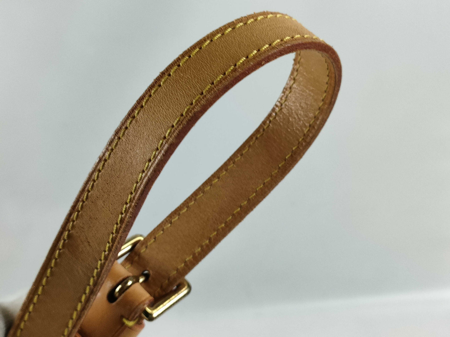 LOUIS VUITTON Monogram Musette Salsa/Short/M51258 Shoulder Bag