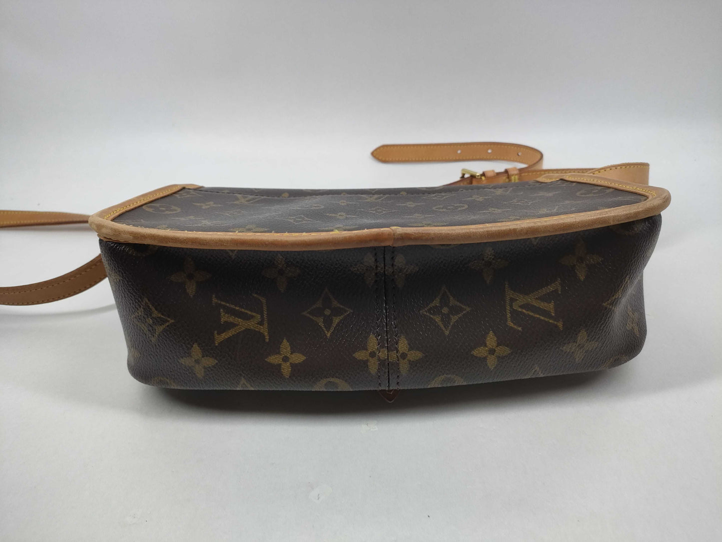 LOUIS VUITTON Monogram Sologne/M42250/Shoulder Bag