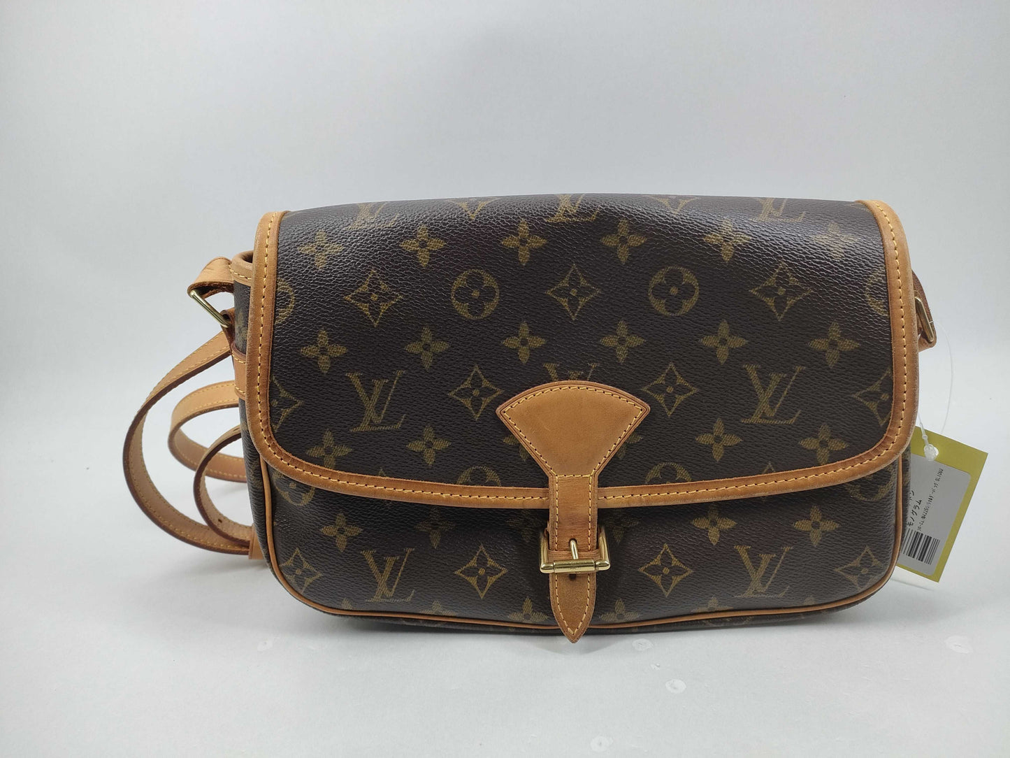 LOUIS VUITTON Monogram Sologne/M42250/Shoulder Bag