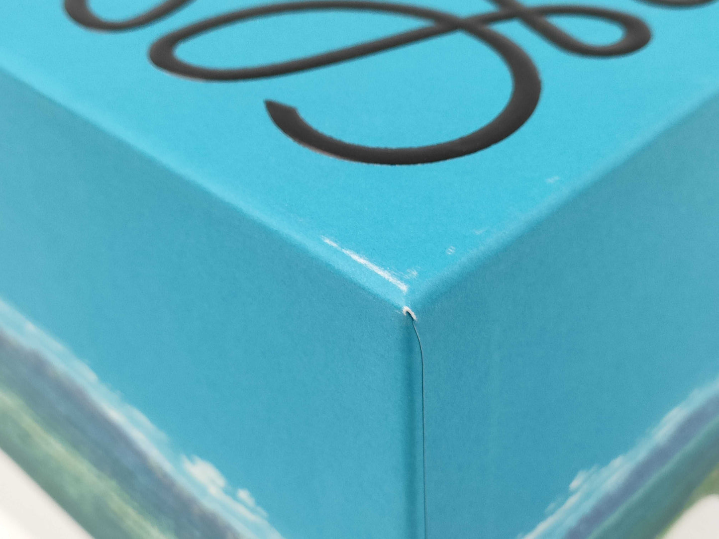 LOEWE Howl Candle Other Accessories