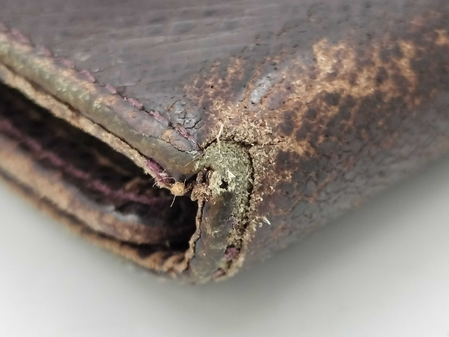 LOUIS VUITTON Epi Taiga Key Case/Key Holder