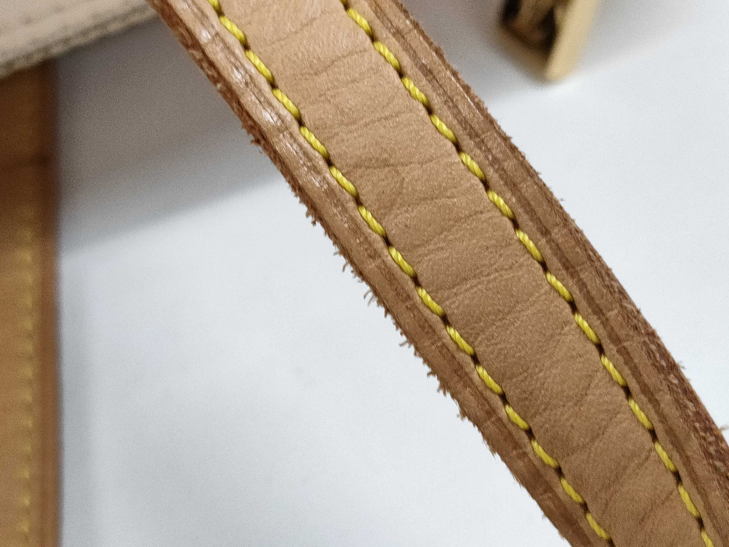 LOUIS VUITTON Verni Bedford Bag