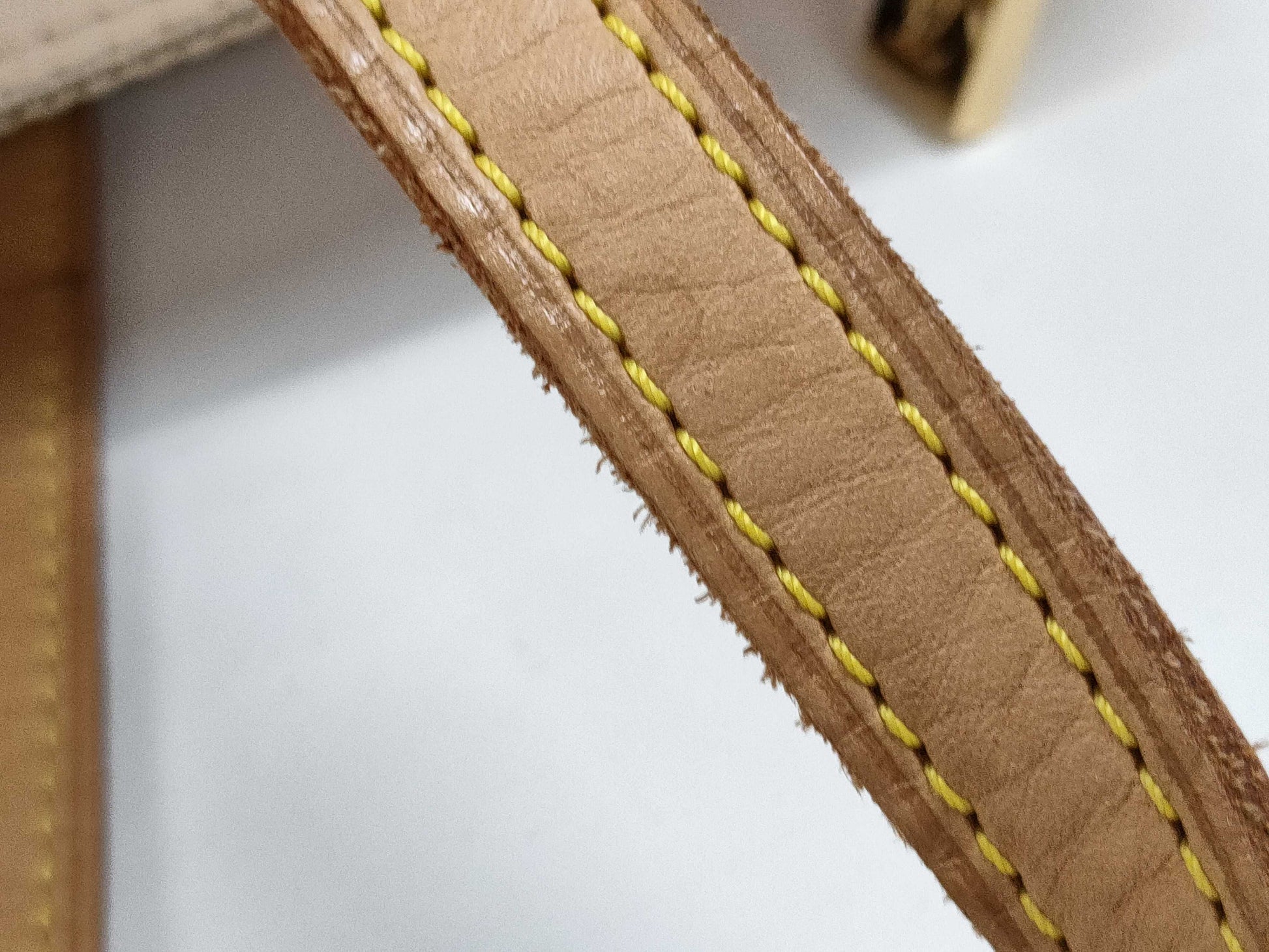 LOUIS VUITTON Verni Bedford Bag