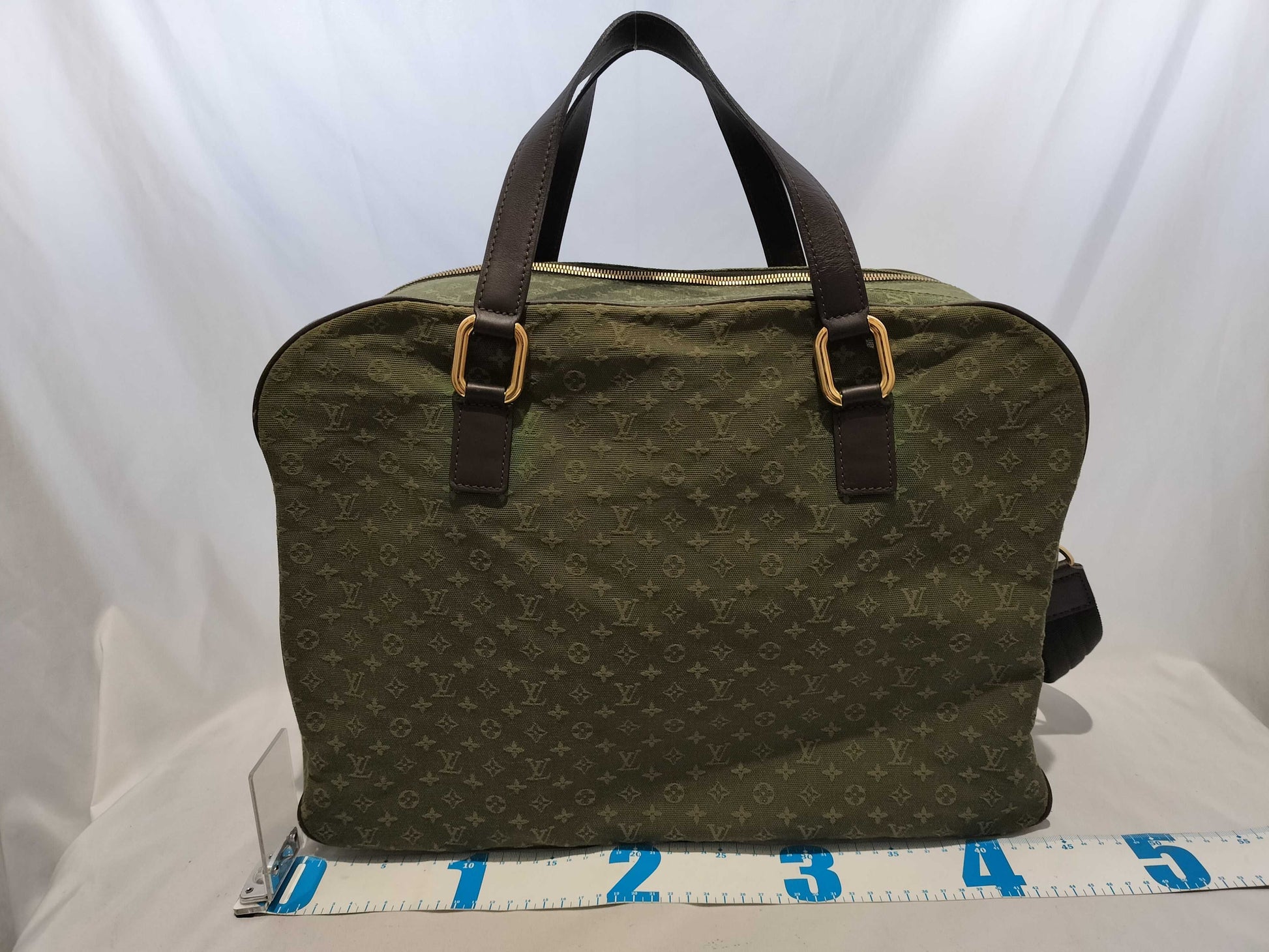 LOUIS VUITTON Monogram Mini Claudine Shoulder Bag