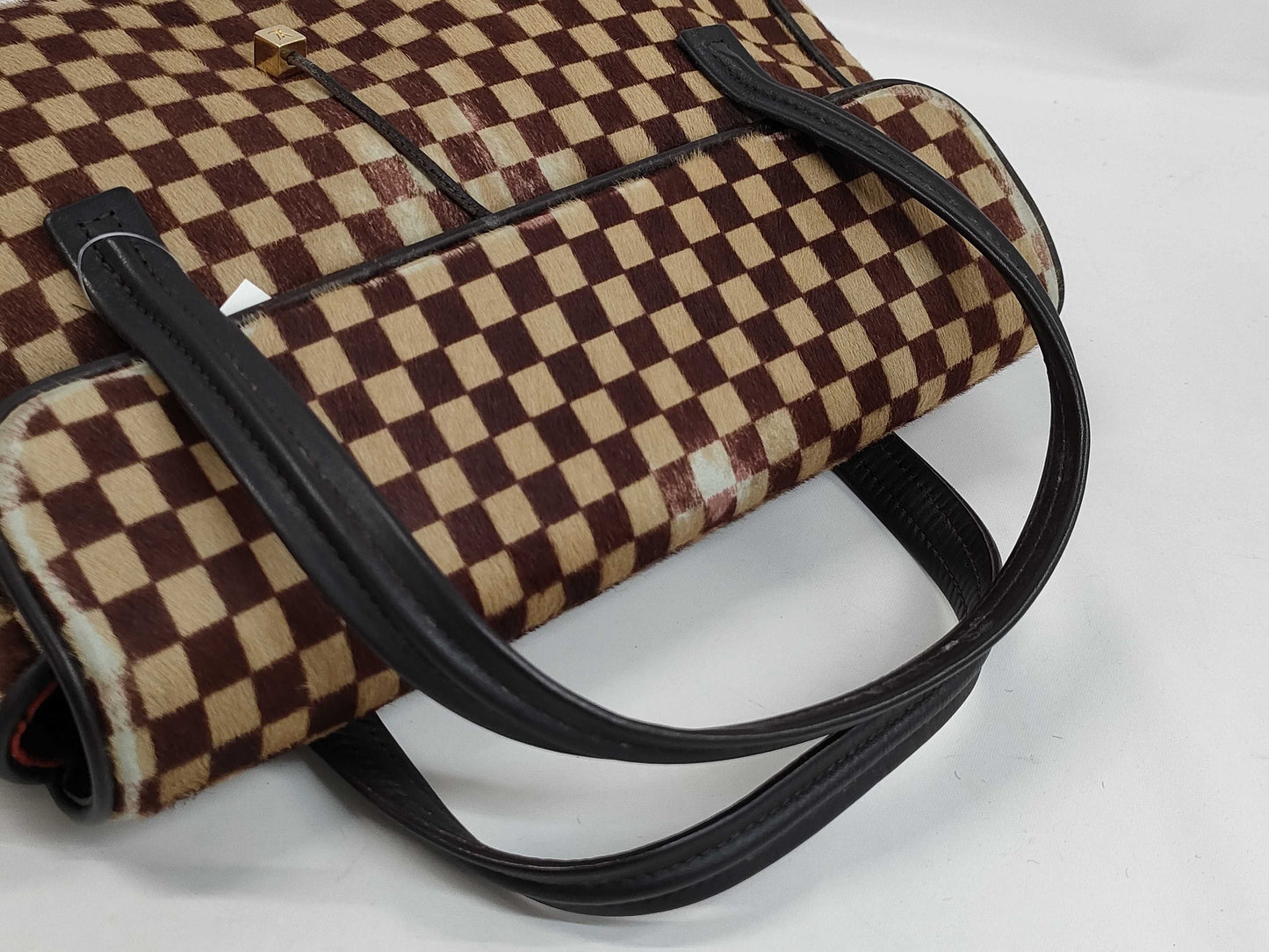 LOUIS VUITTON Damier Sauvage Lion Handbag