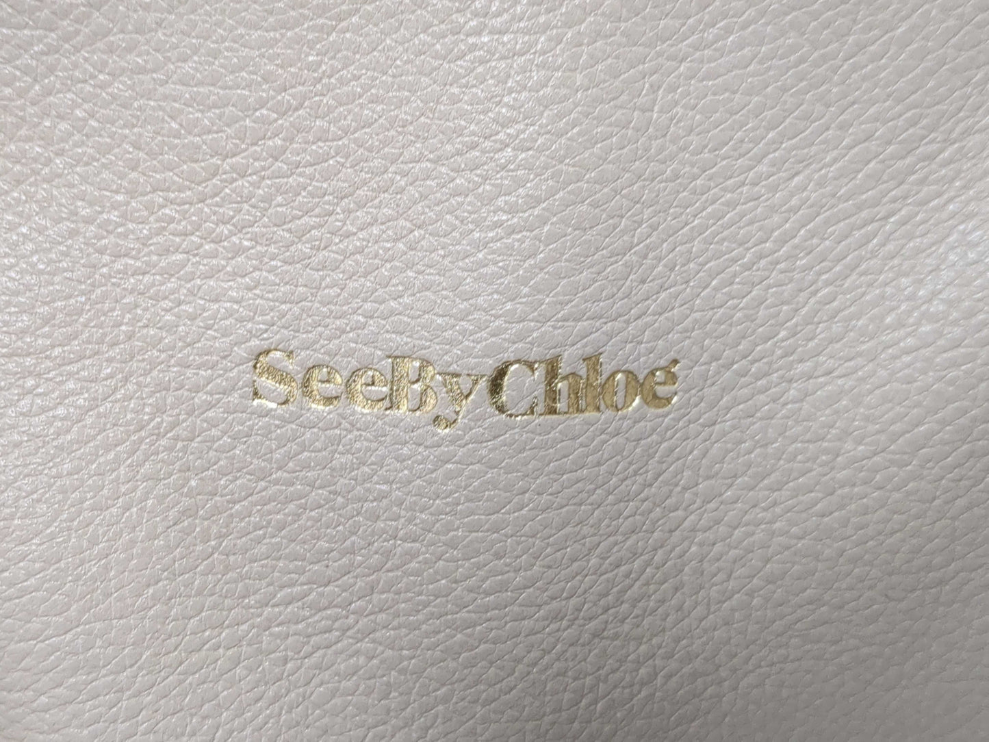 COACH Michael Kors/See by Chloe Shoulder Bag