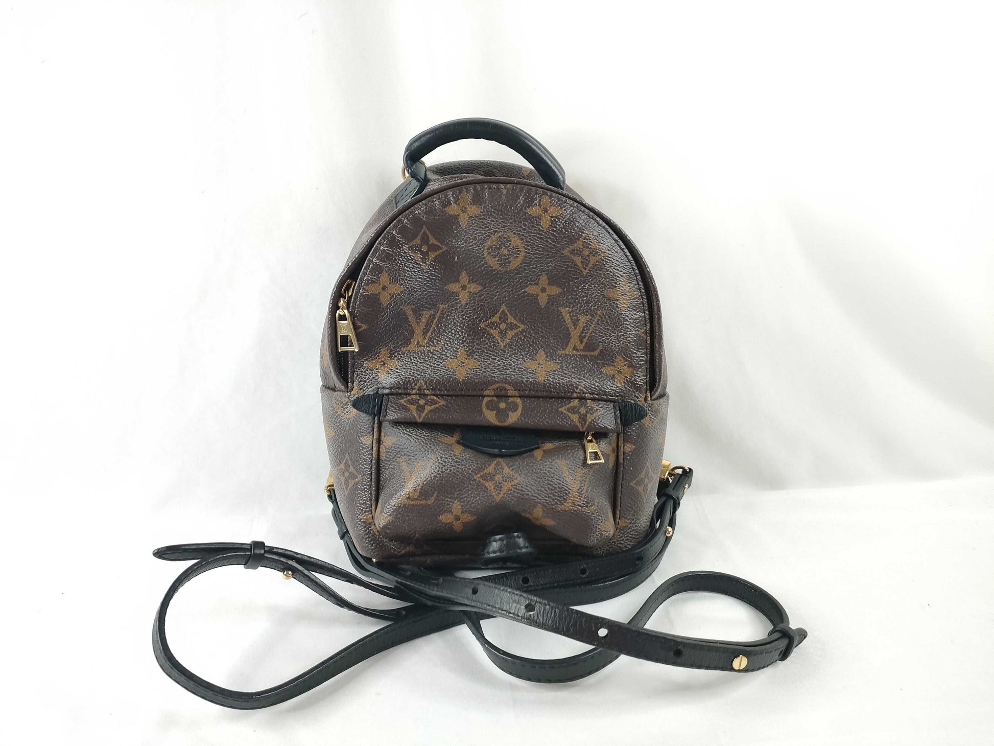 LOUIS VUITTON Louis Vuitton Backpack Rucksack