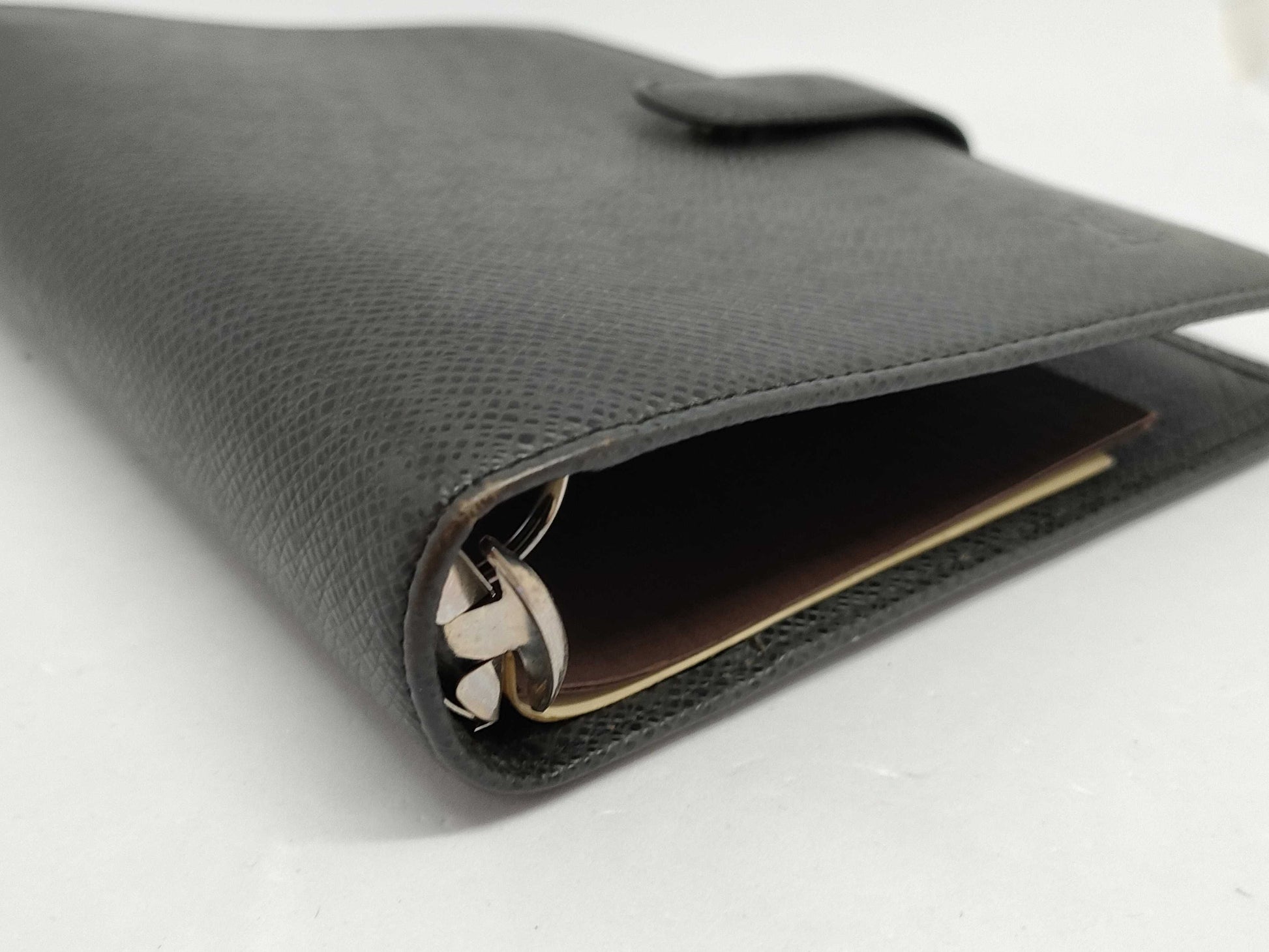 LOUIS VUITTON Taiga Agenda MM Notebook Cover