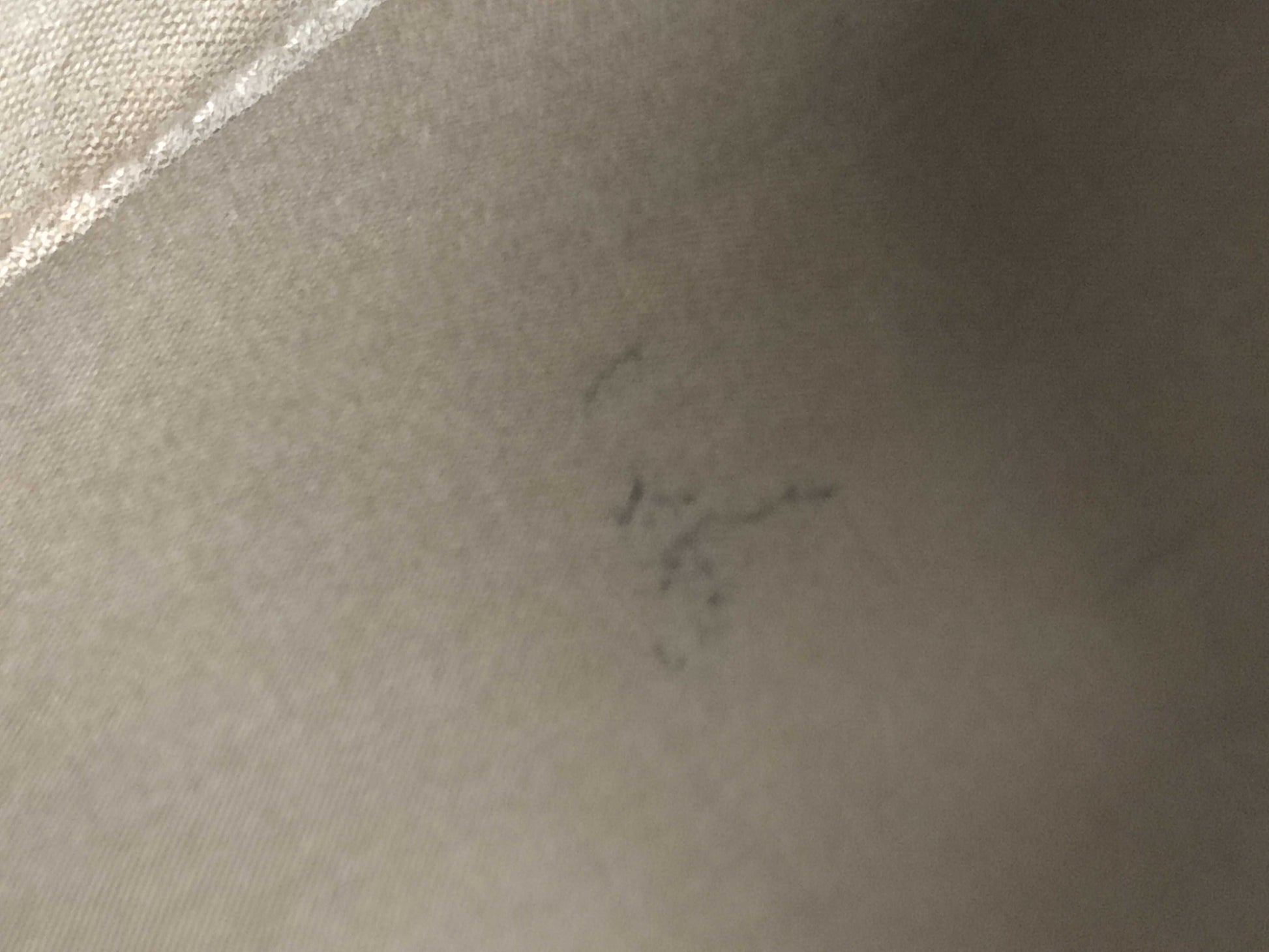 LOUIS VUITTON Speedy 35 Handbag