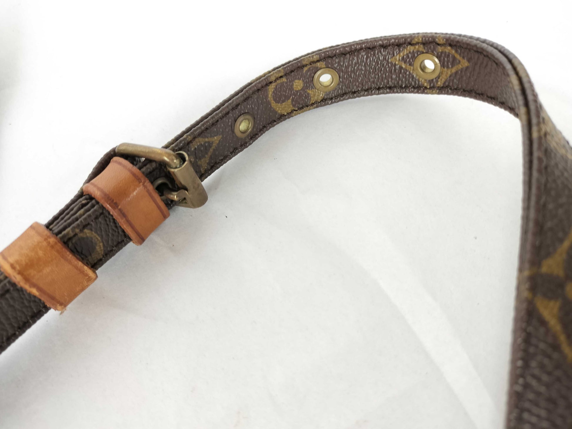 LOUIS VUITTON Monogram M45236 Amazon Shoulder Bag