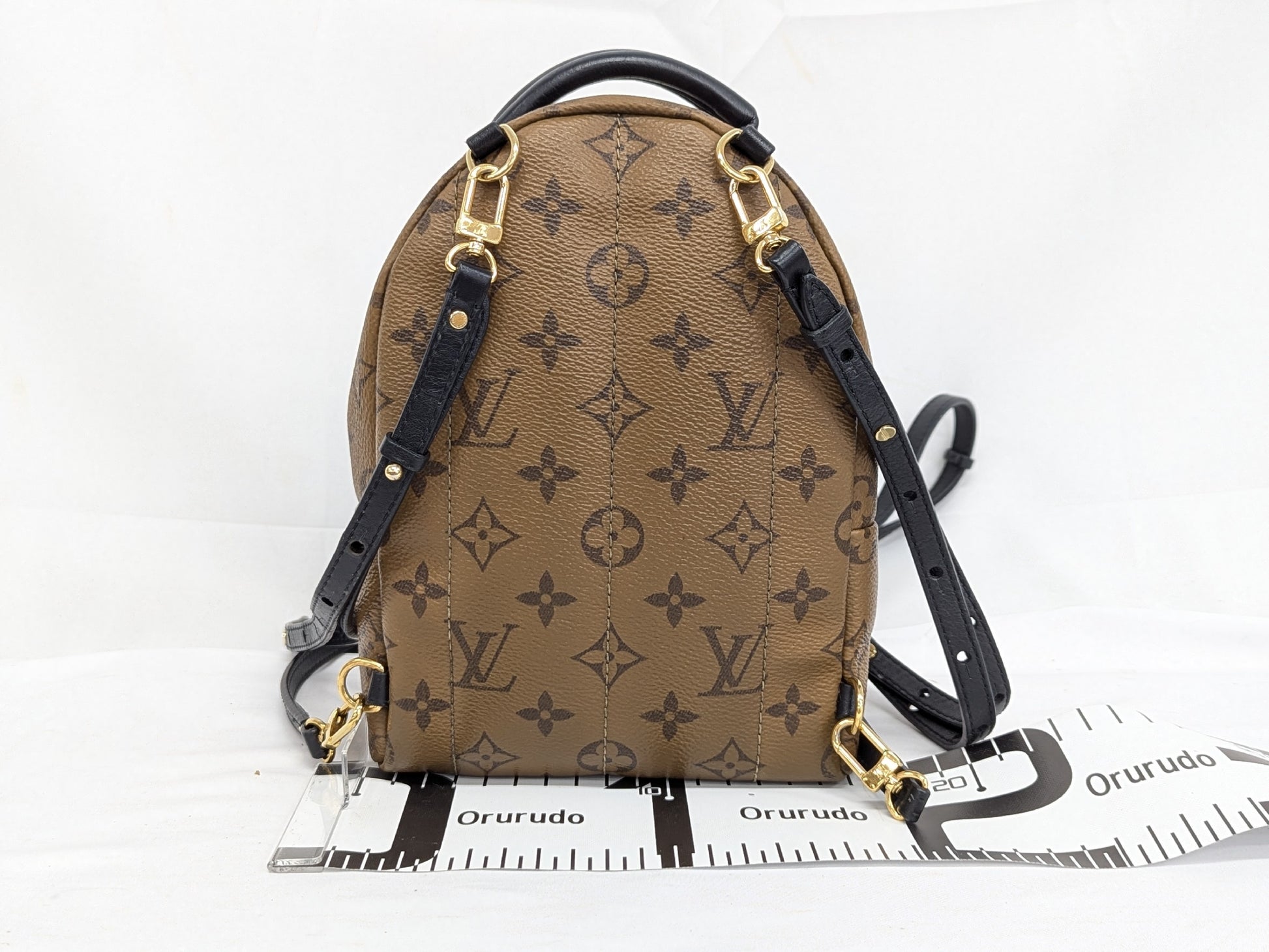 LOUIS VUITTON M44872 Monogram Reverse Palm Springs FL2118 Backpack