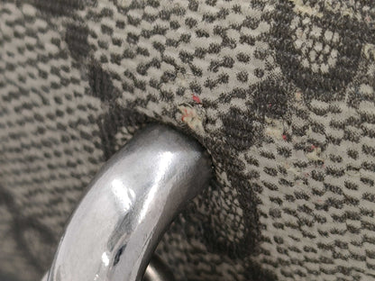 GUCCI 421970 GG Supreme Dionysus Chain Shoulder Bag