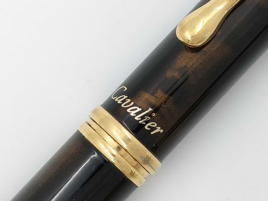 Pilot Fountain Pen Pens & Fountain Pens