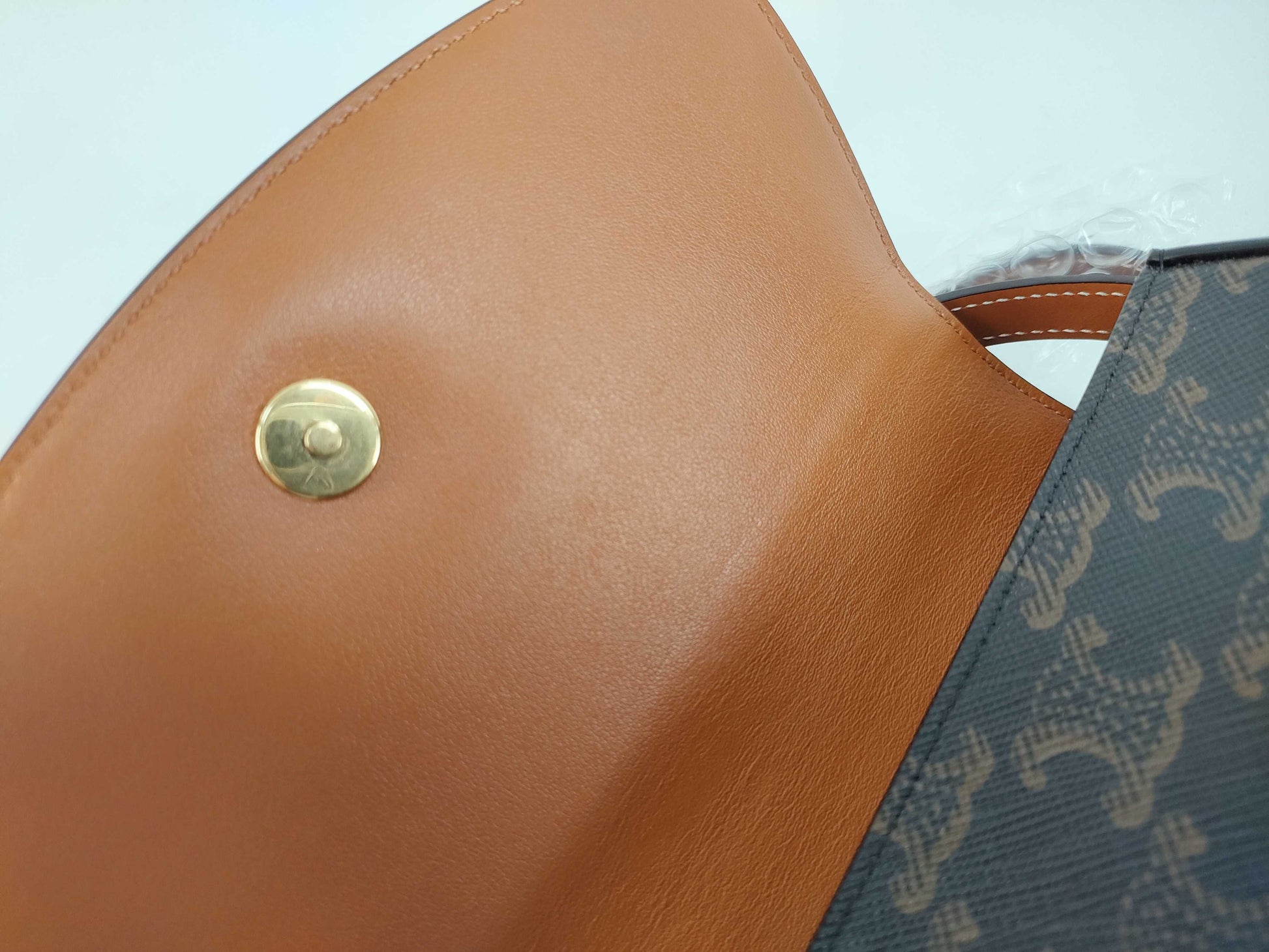 CELINE Triomphe Clutch Taboo PVC and Leather Shoulder Bag Brown
