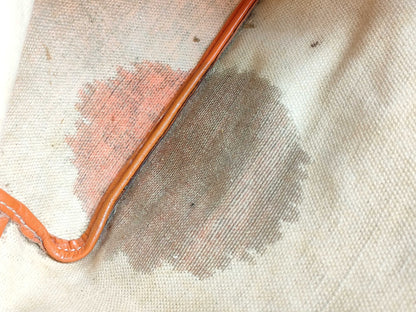 GOYARD GOYARDO Goyard Saint Louis Junior Orange Tote Bag