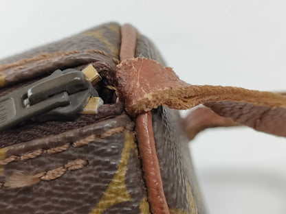 LOUIS VUITTON Monogram Papillon Pouch
