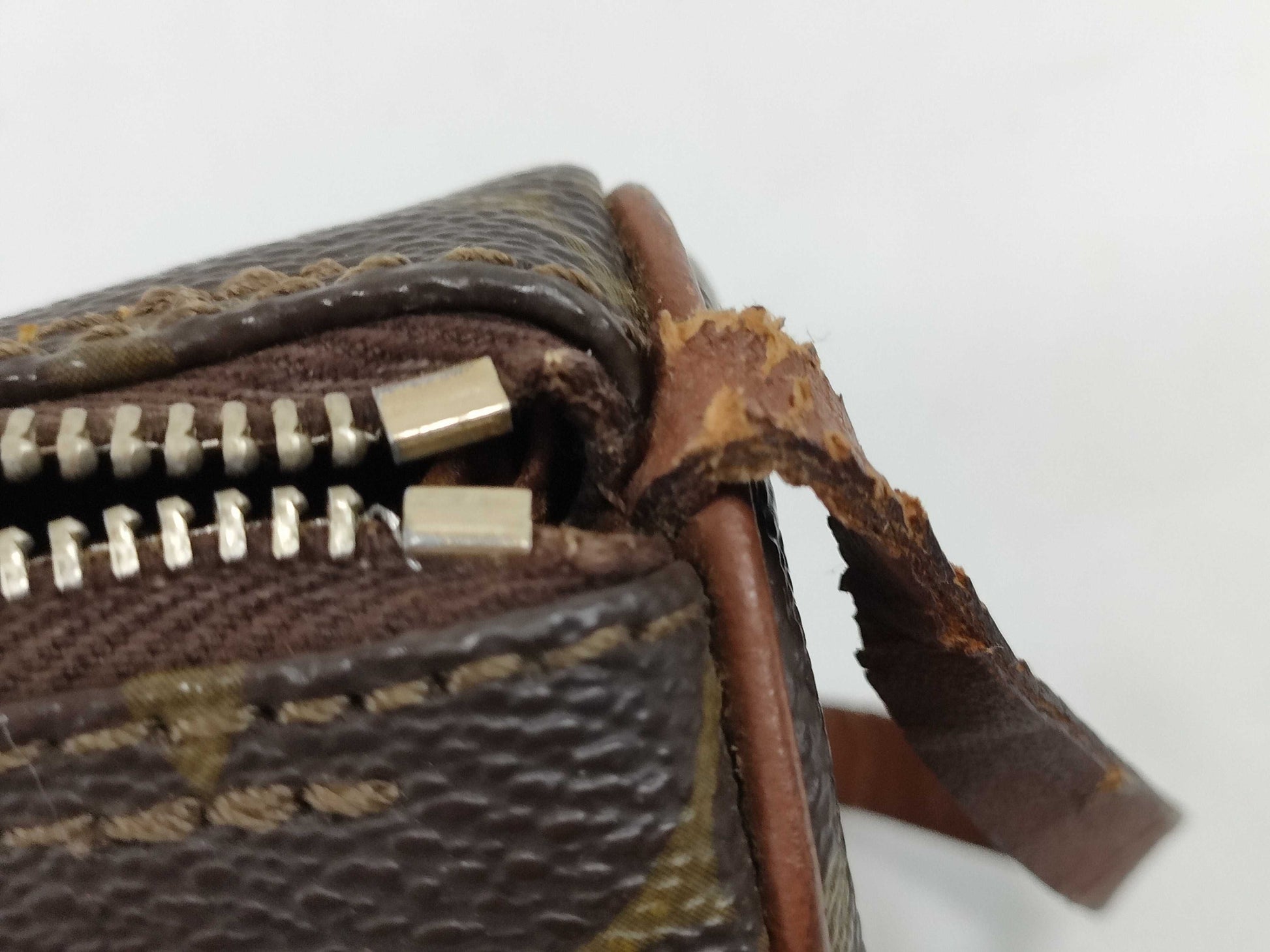 LOUIS VUITTON Monogram Papillon Pouch