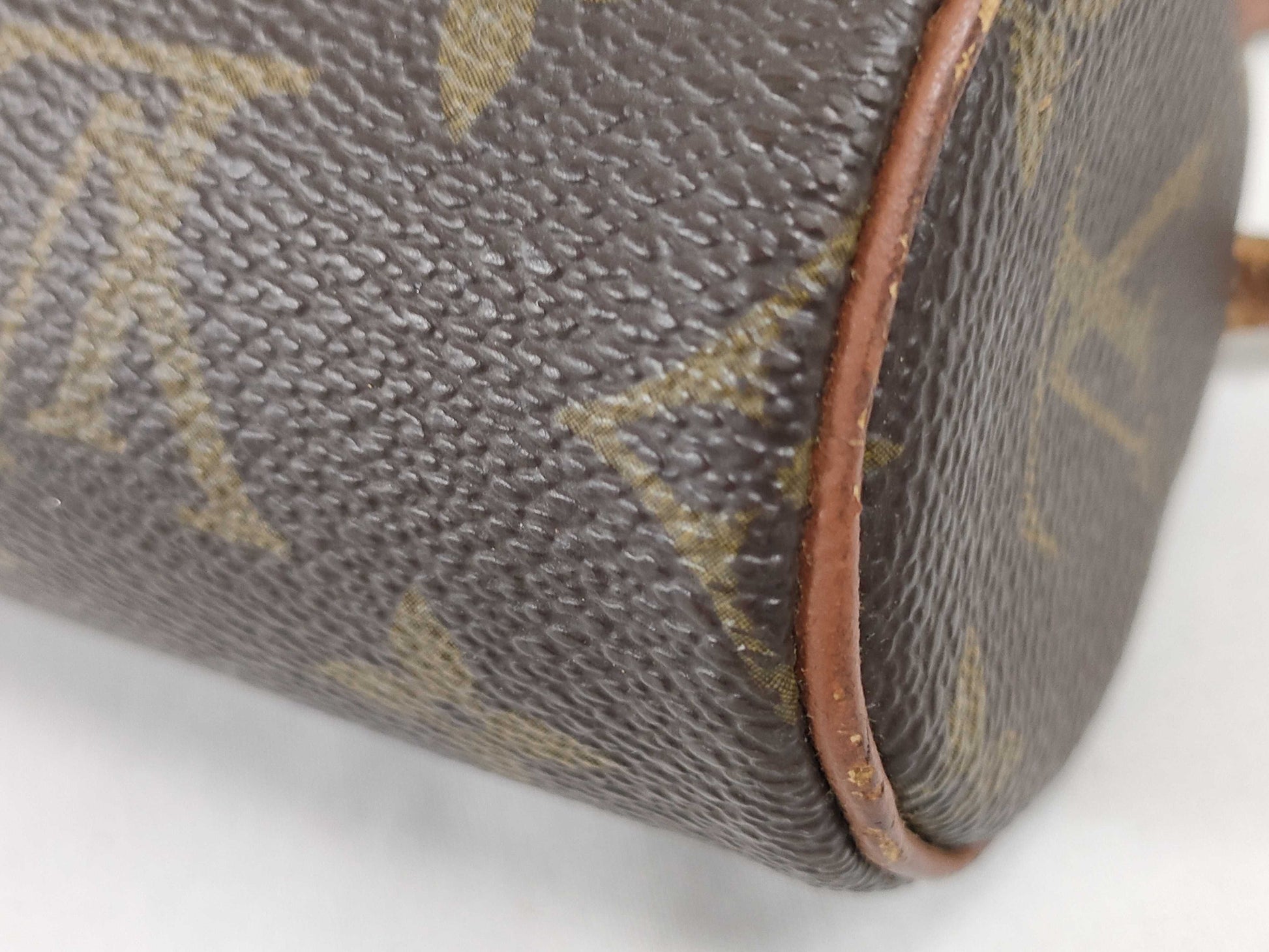 LOUIS VUITTON Monogram Papillon Pouch
