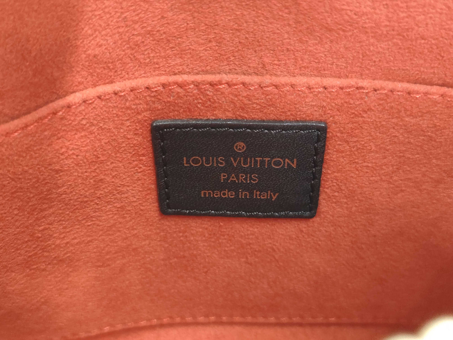 LOUIS VUITTON Damier Sauvage Tiger M92132 CE1020 Pouch