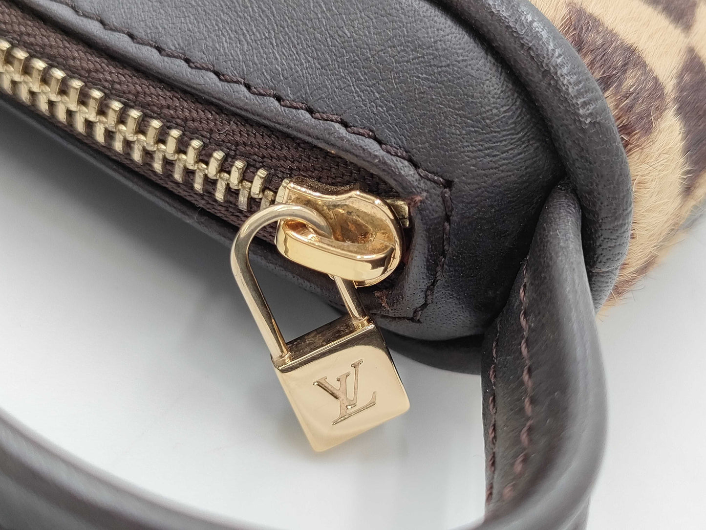 LOUIS VUITTON Damier Sauvage Tiger M92132 CE1020 Pouch