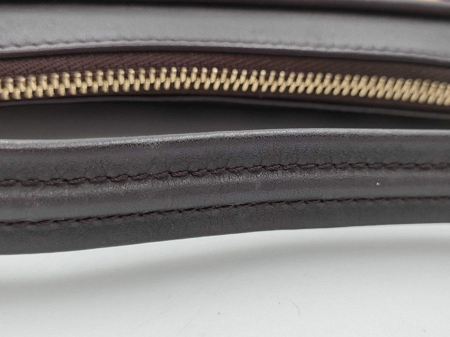 LOUIS VUITTON Damier Sauvage Tiger M92132 CE1020 Pouch