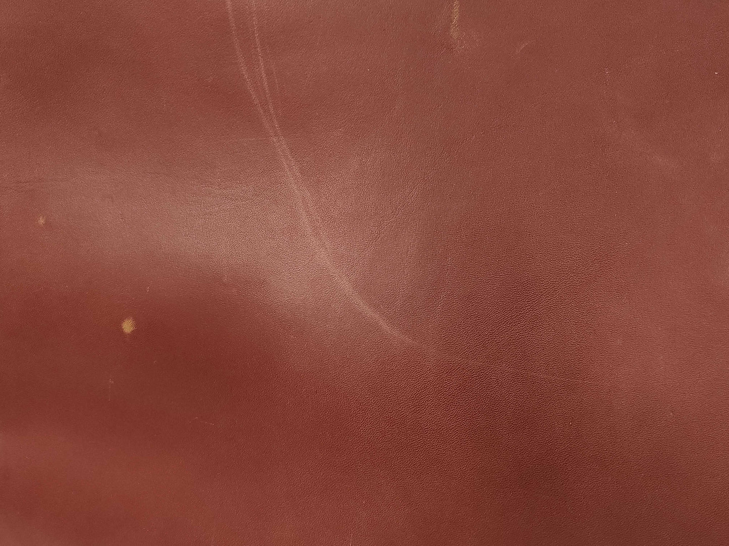 Cartier Must Bordeaux Carry-On Suitcase Bag