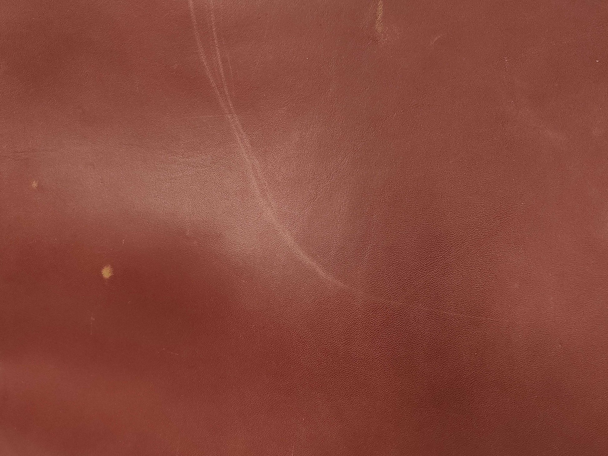 Cartier Must Bordeaux Carry-On Suitcase Bag