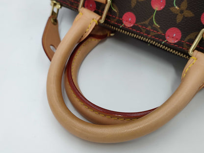 LOUIS VUITTON Louis Vuitton Handbag Handbag