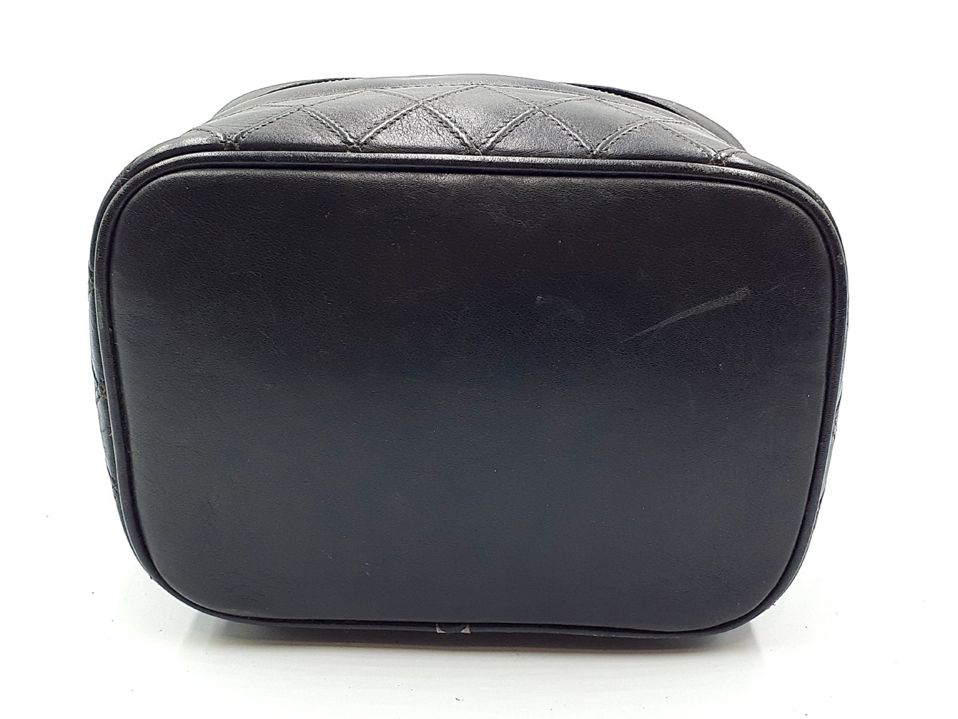 CHANEL Lambskin Picolore Wild Stitch Vanity Bag