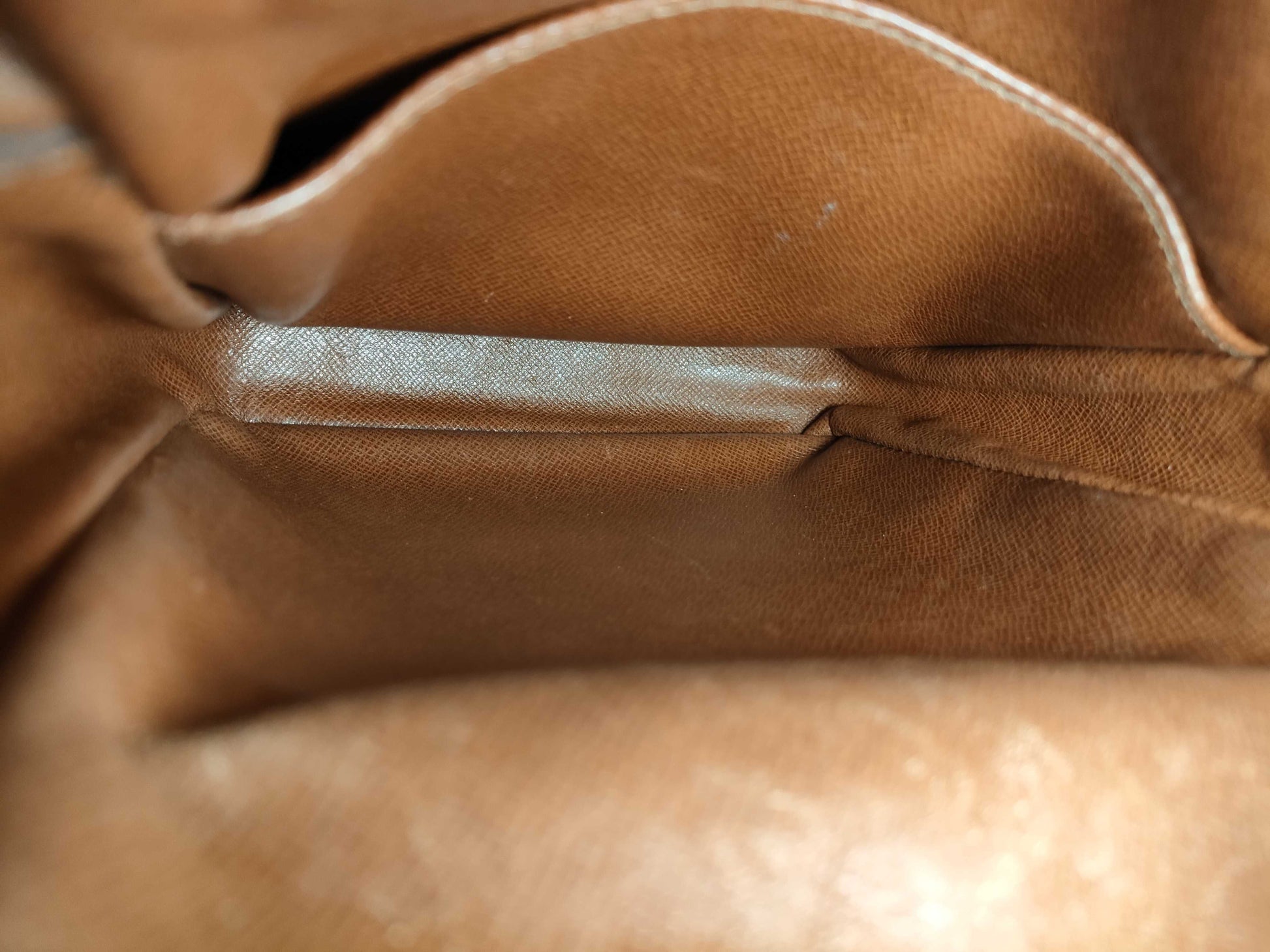LOUIS VUITTON M45236 Monogram Amazon Shoulder Bag