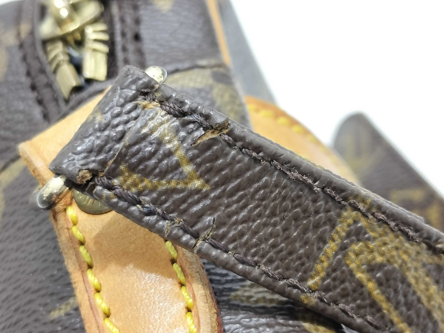 LOUIS VUITTON M45266 Monogram Danube Shoulder Bag
